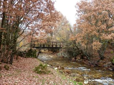 Molino Río Jarama-La Hiruela; romanico palencia marcha nórdica ribera sacra orense